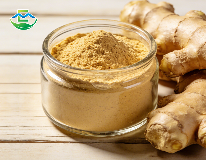 Ginger Root Extract 20% Gingerols HPLC